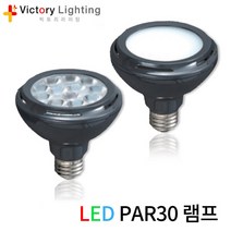 빅토리라이팅 LED 사각벽등 상향등 방수등 실외등 야외등 문주등 벽부등, [램프03-3]LED PAR30램프 15W 확산형 (주광색)