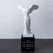 QNM988753니게의 승리의 여신