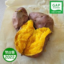 호박고구마 5kg 10kg 당진 꿀고구마 안노베니 아침식사대용, 1box, 못난이 10kg