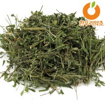 국산 야관문 600g 비수리 야관문주 효능, 야관문600g
