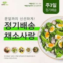 안산샐러드정기배송 2주X3일 6회 [ 안산샐러드 배달 ], 15시~16시, A