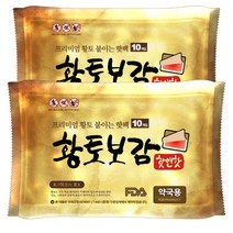 핫앤핫 황토보감 붙이는 파스형 핫팩 10p, 2개