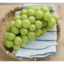 [경북농협] 고당도 영천 샤인머스켓 1.5kg (2수/3수), 2수(750g 이상), 1개