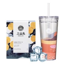 오설록 달빛 ICE 티 세트달빛섬+금빛텀블러 추천
