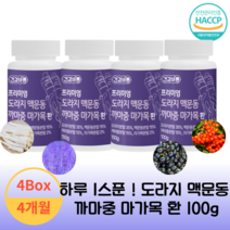 건강바름 프리미엄 도라지 맥문동 까마중 마가목 환 100g 4개월