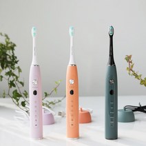[1+1] 단미 CL200 클린케어 휴대용 충전식 음파전동칫솔, CL200(다크 그린):전동칫솔CL200(다크 그린)