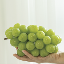 [당일수확] 자생푸드 경북 고당도 샤인머스켓, 2kg, 1개