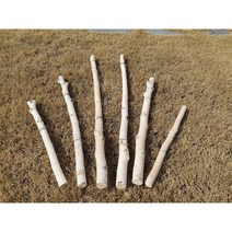 자작나무가지 행인플랜트 가랜드만들기 꽃걸이, 100cm
