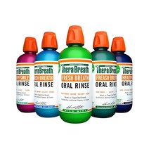 테라브레스 473ml, 레인포레스트민트, 1개