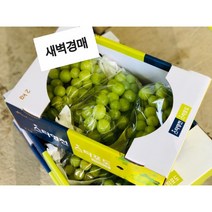 [#도담] 고급 프리미엄 샤인머스켓 2kg 당도최고 우리가족 간식 신선과일 선물세트 씨없는 포도 망고포도 영천 김천