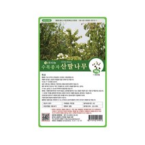 (DN) 산딸나무 씨앗(30g)