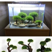 비바리움식물 이끼 테라리움이끼 재료 생이끼 양지이끼 서리이끼 비단이끼 천연이끼 수조 녹화 나무 프레임 심기 장식 액세서리 나무 프레임 ( 없음) 수족관 심기 유목 장식, 21-25cm 4머리