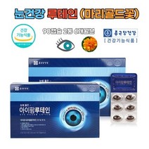 노안 황반색소 망막 눈이침침 노화 황반변성원인 루테인영양제 추천 마리골드꽃추출물 루테인 아이팜루테인