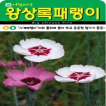 AR 왕 상록패랭이 소포장 꽃이 큰 씨앗, 1개