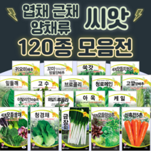 채소씨앗 / 공심채 루꼴라 케일 고수 깻잎 브로콜리 청경채 시금치 치커리 쑥갓 종자, 43. 스피드그린부추 2000립, 1개