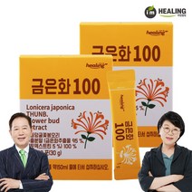 아임힐링 금은화100 추출분말 30포 x2박스, 단품, 단품