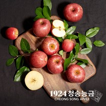 사과 청송 경북 꿀사과 부사 가정용 선물용 선물세트 산지직송 3kg 5kg, [3kg]소과(13~14과)
