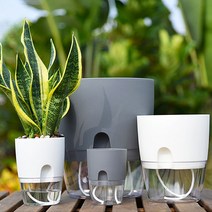 앙플랜트 저면관수 자동급수 원형플라스틱화분 미니 소 중.대 (화이트 그레이), 저면관수 원형플라스틱화분 화이트, 대 (23.5cm)