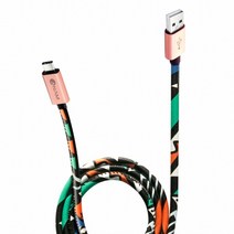 (아남 ANAM 패셔니스타 USB C타입 케이블 (CM-AM 2M (ACF-UC2M 아남/패셔니스타/타입/케이블, 단일 모델명/품번