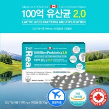 캐나다 위산 장스트레스 에 강한 녹지않는 살아서 장까지 가는 100억 보장균수 백억 장면역 유산균 비피더스균 락토바실러스 캡슐, 60정, 1개, 0.5g