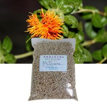 지리산 볶은 토종 유황 홍화씨 600g 국산 홍화씨차 먹는법