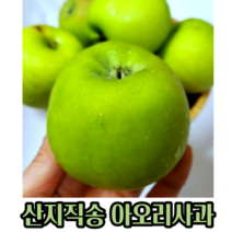 새콤달콤한 아오리 사과 2 3 5 8 10kg(꼬마 중대 랜덤)새콤달콤 썸머킹 여름 가정용 못난이 풍미 풍기는 아오리사과 햇 아오리 초록사과 청사과못난이 꿀사과 선물세트 황금사과, 5kg주스용(랜덤과)