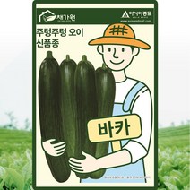 오이씨앗종자 바카오이 (10립) *주렁주렁 오이와 같은 암꽃발생이 높은 다수확 미니오이*