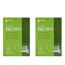 오늘은 휴 2박스 2개월분, 2개, 60정