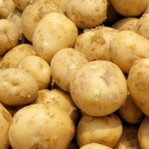 햇 감자 수미 20kg 10kg 5kg 못난이 정품, 10kg 정품(대), 1개
