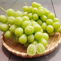 [계절식탁] 김천 샤인머스켓 3-4년생 달콤한 망고포도 청포도, 상품 2kg 내외(4송이)