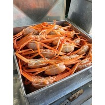 탐라인 선주직송 당일조업 포항 구룡포 자숙홍게 박달급 3kg(10미내외), 1박스, 3kg