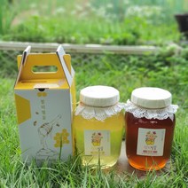 할미벌꿀, 아카시아꿀