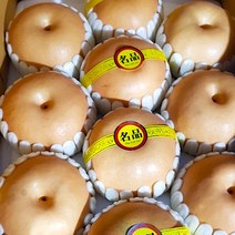 설 추석 한가위 명절 제사상 제철 선물용 제수용 꿀맛 나주 신고배 햇배 산지직송 (특품) - 7.5Kg(8~10과/11~12과) 15Kg(19~20과/21~23과), 9~10과, 7.5Kg