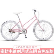 전기로드자전거 전문 고정 기어 자전거 도시 운동 Mtb 트랙 레이스 프레임 SQC, 6.B - 24 inches - 7 speed