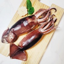 선동오징어 원양 포크랜드 식당업소용 수산물, M2사이즈, 원양산오징어20kg, 1개