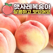 프리미엄 고당도 음성 감곡 햇사레 복숭아 황도 백도 딱딱 딱딱이 선물용 과일 중과 대과 3kg 4kg, 02. 햇사레 복숭아 3kg 10과 내외, 1개