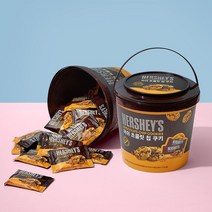 허쉬 허쉬 초콜릿칩 쿠키 456g / 대형통, 1개