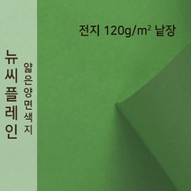 뉴씨플레인 종이문화 얇은 양면색지 120g 전지 낱장 1매 No.60 초록, 1장