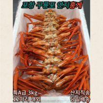 포항 구룡포 연지 홍게 특 3kg, B급(일반용), 1개