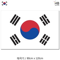 국산 태극기 80x120cm 1장