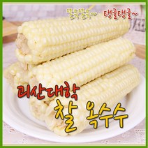 [개미네] 괴산 못난이대학찰옥수수 40개(4개씩포장), 상세 설명 참조, 상세 설명 참조