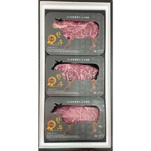 [마장동미친소] 국내산 한우1++ 모듬 구이선물세트 [1kg]
