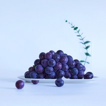 영동 산지직송 17Brix이상 스테비아급 고당도 당도선별 거봉, 2kg / 특품 / 4~5수, 1개