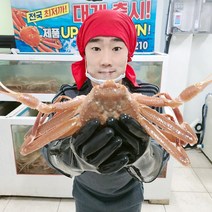[당일조업] 포항 구룡포 제철 홍게 대게 자숙 10마리, 실속형 10마리
