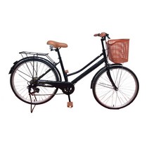 닥터바이크 L-24 ROCKET 입문용 출퇴근용 20인치 생활자전거 여성용자전거, 미조립, 블랙