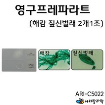 [아리랑과학] 영구프레파라트-해캄 짚신 프레파라트 2개1조 / ARI-C5022 (만들기용품), 상세페이지 참조