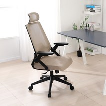 린백 LB221HA 사무용 컴퓨터 학생 책상 의자, LB221HBA-블랙바디, 베이지