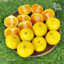 제주 서귀포 하우스귤 감귤 제주도 귤 밀감 3 5 10kg, 1박스, 3kg 꼬마(2S미만)