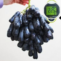 꿀맛 스위트 블랙사파이어포도 가지포도, 가지포도2kg/2개 주문시 4.5발송