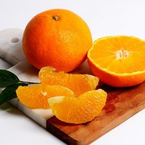 제주 특산품 가정에서 먹는 황금향 소과 1kg / 5kg까지 합포장 가능